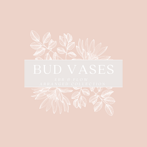 Bud Vase Collection