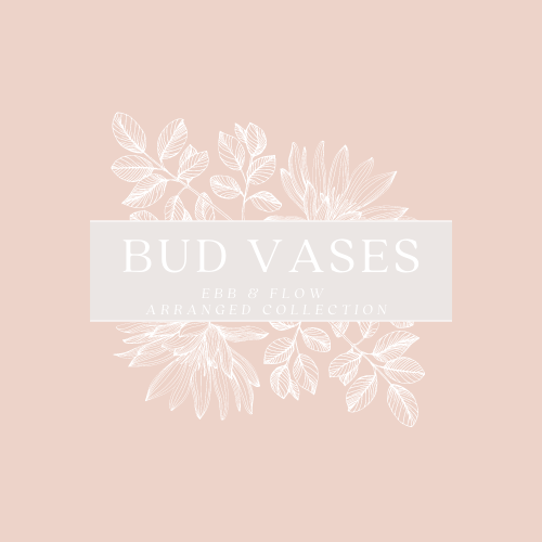 Bud Vase Collection
