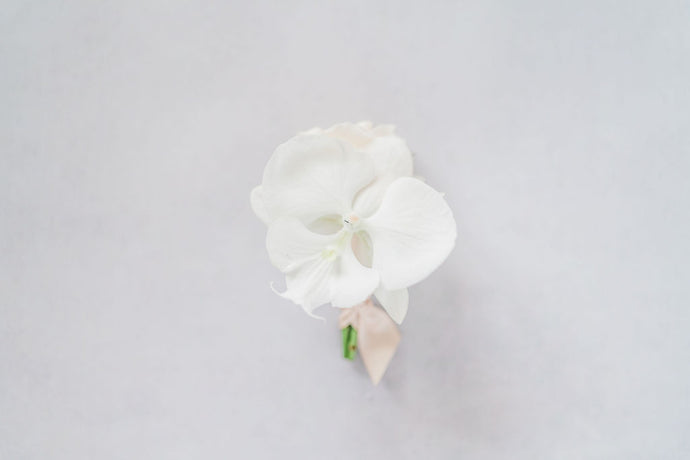 Modern Blush Boutonnière